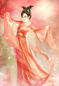 海贼王之宝箱系统